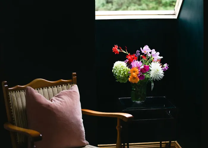 Mountain View House Killarney